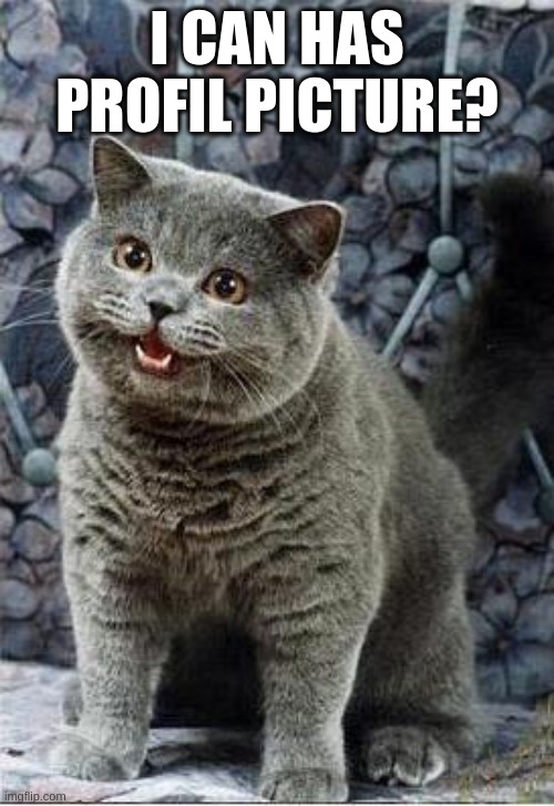 [At some point there will be a neat profile picture here. Until then I'll leave my face your imagination.]